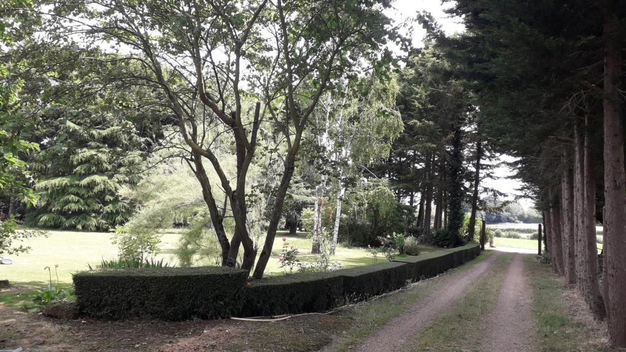 Degré Les Terrasses B&B 외부 사진